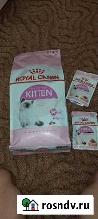 Royal Canin Kitten сухой корм для котят Курск - изображение 1