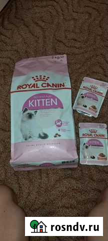 Royal Canin Kitten сухой корм для котят Курск - изображение 1
