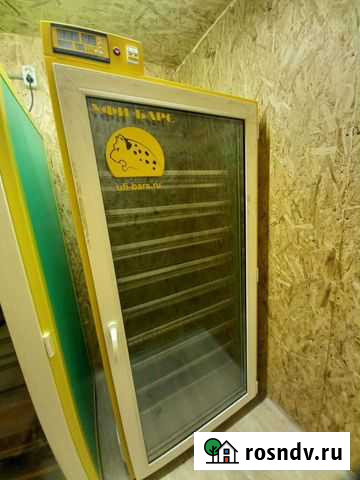 Инкубатор Новороссийск - изображение 1