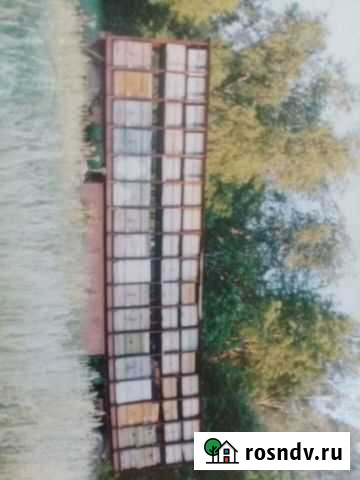 Пчелопакеты (дальневосточная) Омск - изображение 1