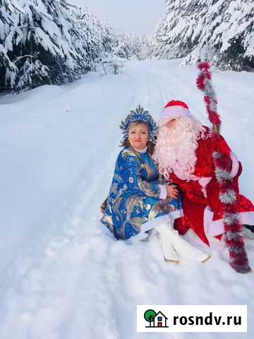 Дед Мороз и Снегурочка Брянск - изображение 1