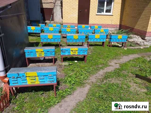 Улей для вывода маток Томаровка - изображение 1