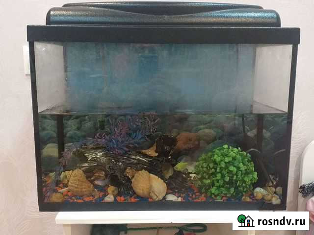 Аквариум Йошкар-Ола - изображение 1