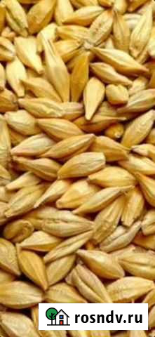 Кормосмесь оптом Заинск - изображение 1