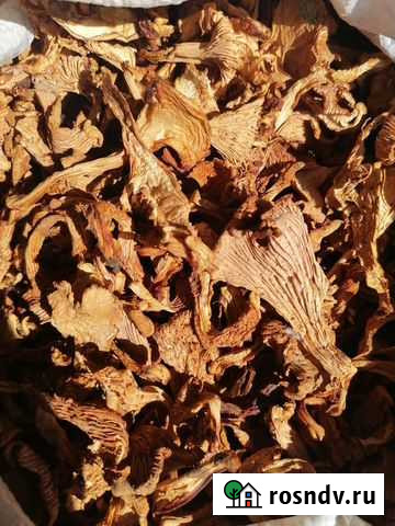 Лисичка Барнаул - изображение 1