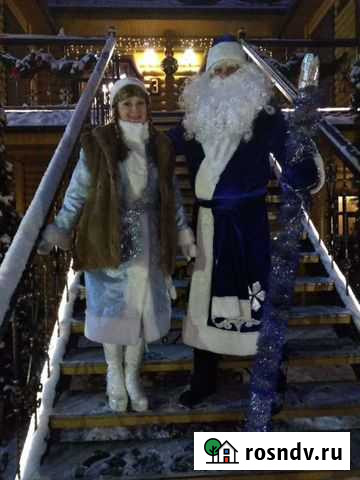 Вызов деда мороза Брянск - изображение 1