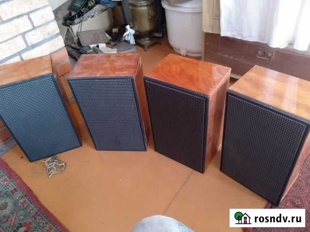 Акустическая система 3ас 305 Брянск - изображение 1