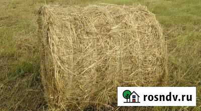 Сено Амурск - изображение 1