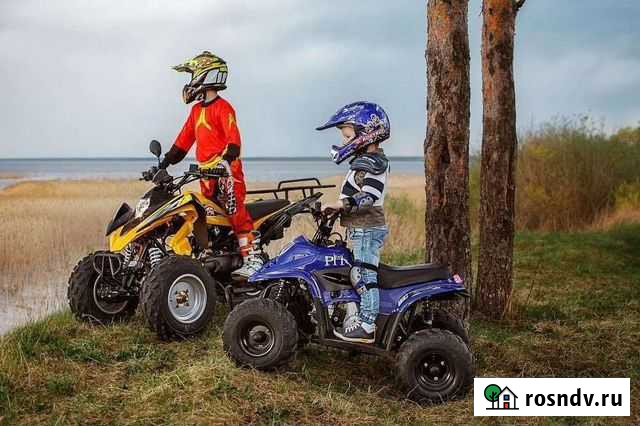Экскурсии на бензиновых квадроциклах, аренда, прок Ахтубинск - изображение 1