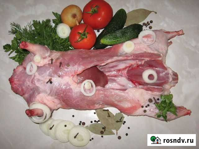 Мясо нутрий Каменск-Шахтинский - изображение 1