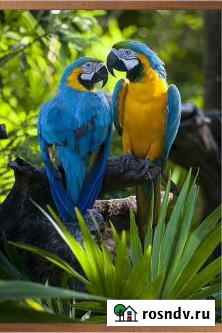 Настенный обогреватель Калуга - изображение 1