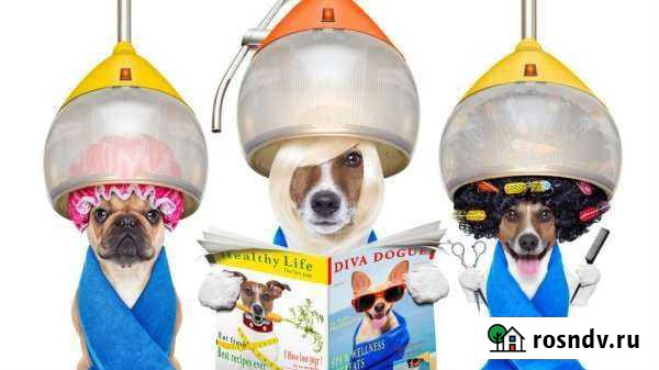 Грумер Кемерово - изображение 1