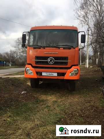 DongFeng DFL 3251A, 2010 Суджа - изображение 1