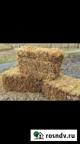 Солома Белореченск - изображение 1