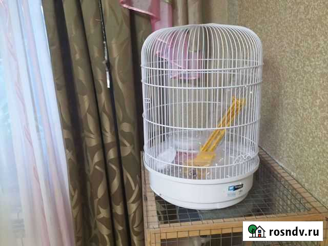 Клетка для среднего попугая Людиново - изображение 1