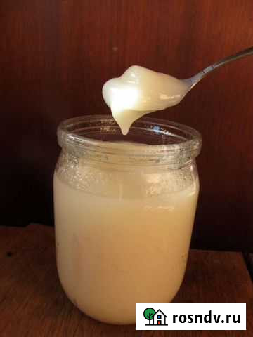 Барсучий жир от охотника Благовещенск - изображение 1