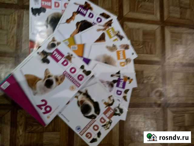 Коллекция собак Соликамск - изображение 1