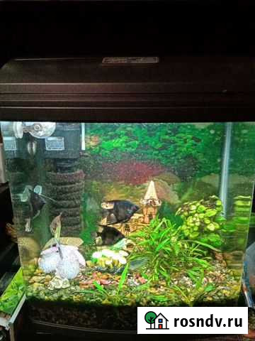 Аквариум jebo г 338 Звенигород - изображение 1