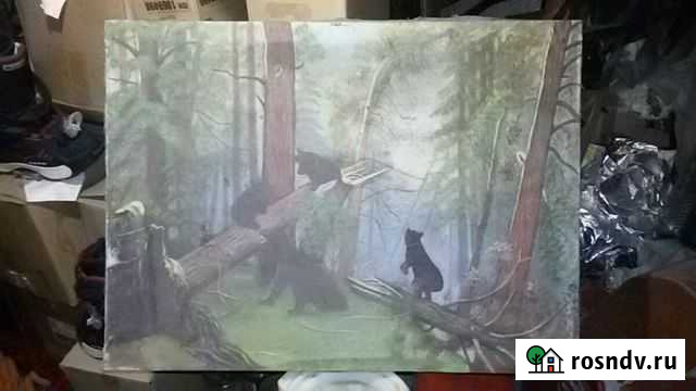 Картина Утро в сосновом лесу Калининград - изображение 1