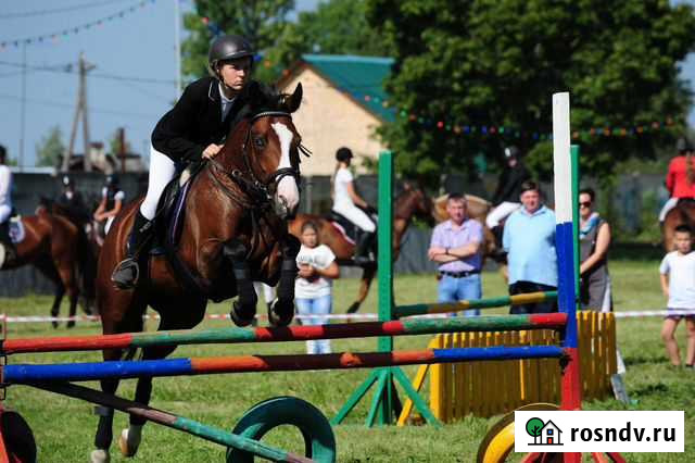 Катание на лошадях Тейково - изображение 1