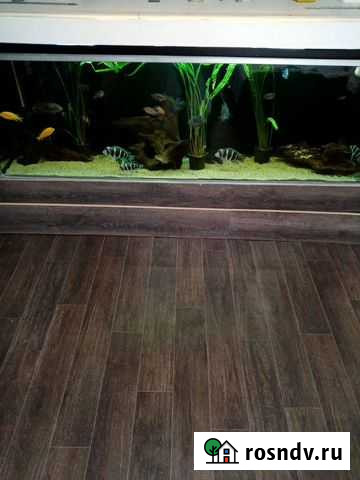 Аквариумы на заказ.по вашим размерам Туймазы - изображение 1