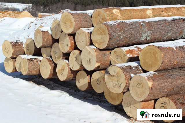 Пиловочник Елка Сокол - изображение 1