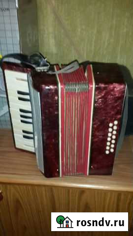Аккордеон Краснодар - изображение 1