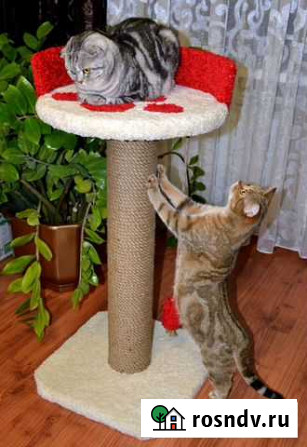 Когтеточка для котят и кошек Выкса - изображение 1