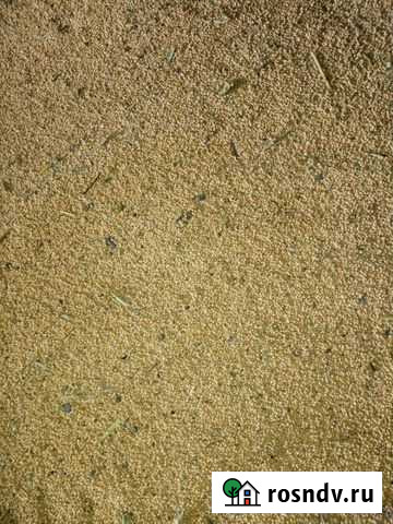 Просо Городовиковск - изображение 1