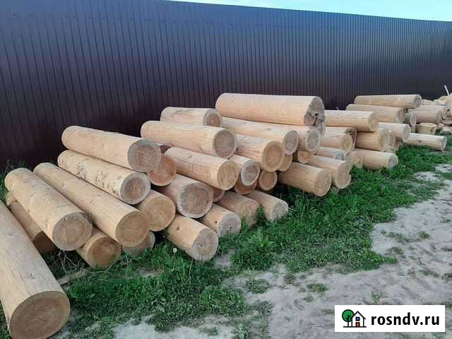 Лес кругляк сосна Шуя - изображение 1