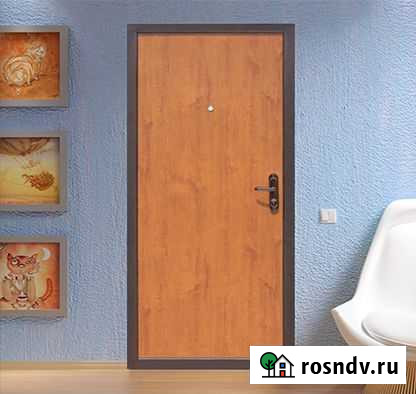 Дверь входная стальная Эконом Саратов - изображение 1