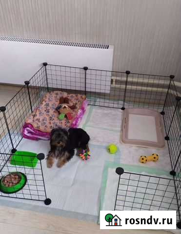 Вольер для животных, манеж для собак Фурманов - изображение 1