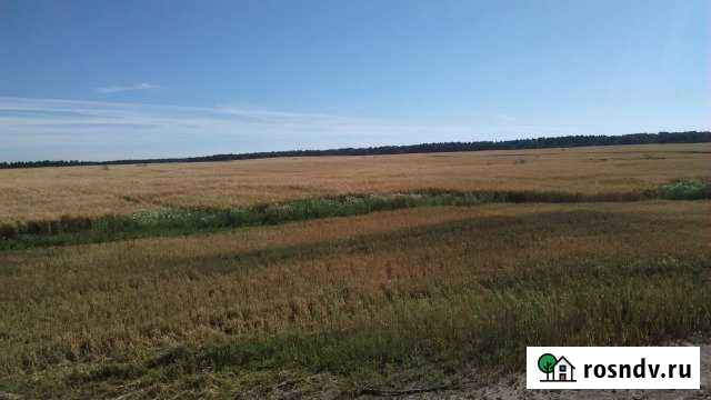 Участок СНТ, ДНП 190 сот. на продажу в Лаголово Лаголово - изображение 1