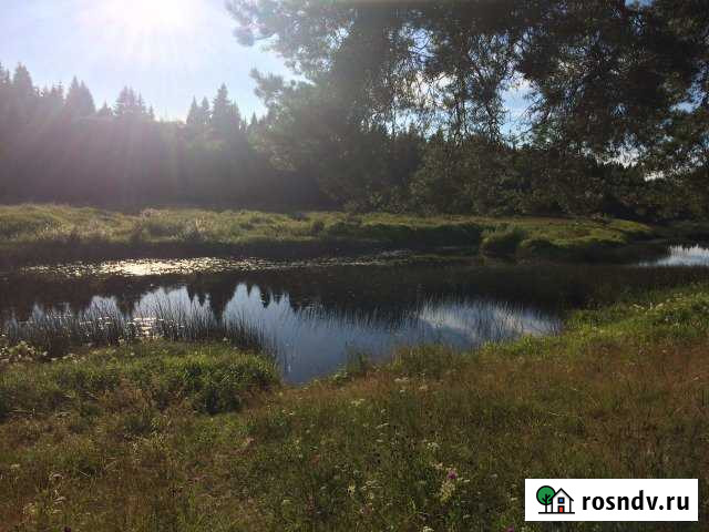 Участок СНТ, ДНП 1150 сот. на продажу в Торжке Торжок - изображение 1