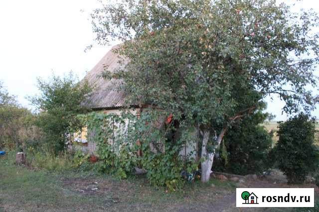 Дача 48 м² на участке 12 сот. на продажу в Орлово Орлово - изображение 1