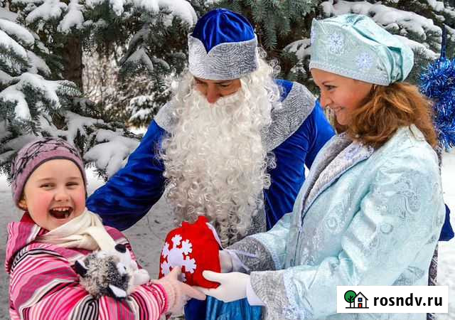 Дед Мороз и Снегурочка Ульяновск - изображение 1