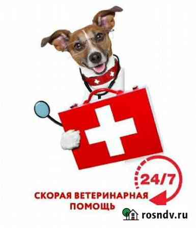 Ветеринарный врач, терапия, хирургия, груминг Миасс