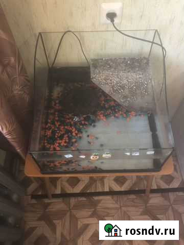 Аквариум Тугулым - изображение 1