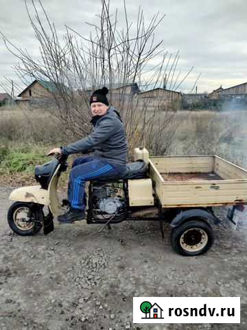 Муравей Абакан - изображение 1