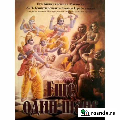 Книга Ещё один шанс Железногорск - изображение 1