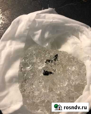 Пиявки медицинские Москва - изображение 1