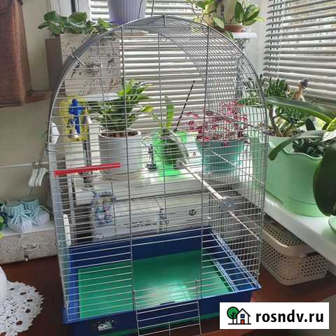 Клетка для волнистого попугая Петропавловск-Камчатский - изображение 1