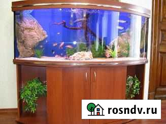 Аквариумы и тумбы Волгодонск - изображение 1