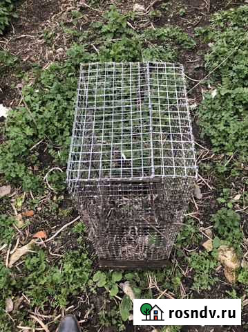 Клетки Новомосковск - изображение 1