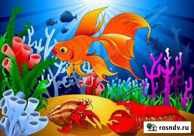 Дипл0м,BKP Волгоград - изображение 1