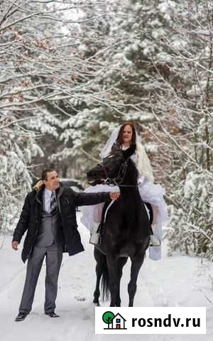 Фотограф + видео сьемка (видеограф) Воронеж - изображение 1