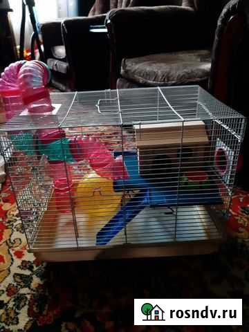 Клетка для грызунов Воскресенск - изображение 1