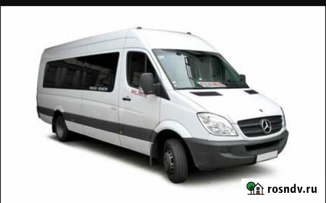 Аренда заказ автобуса микроавтобус на свадьбу и др Санкт-Петербург - изображение 1