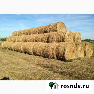 Продам сено в рулонах Железногорск - изображение 1