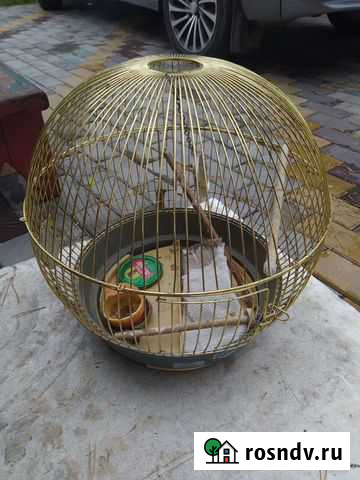 Клетка золотая для птичек Золотухино - изображение 1